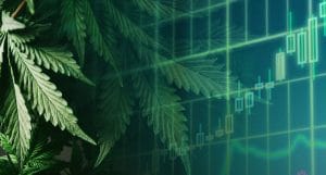 best marijuana stocks to watch