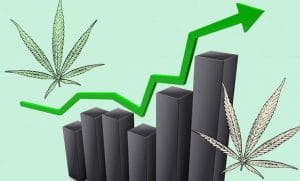 cannabisstocks