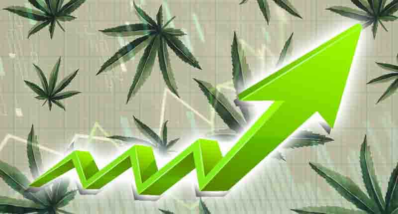 marijuana stocks to buy now