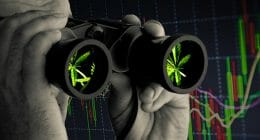marijuana stocks to buy sell ican see