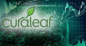 top marijuana stocks 2019 curaleaf CURA CURLF