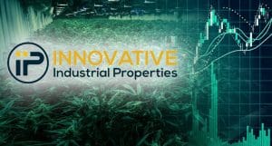 top marijuana stocks 2019 innovative industrial properties IIPR