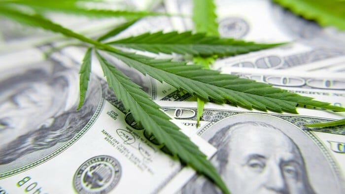 how much money can i make investing in cannabis