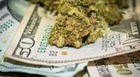 money making marijuana stocks