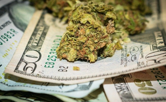 money making marijuana stocks