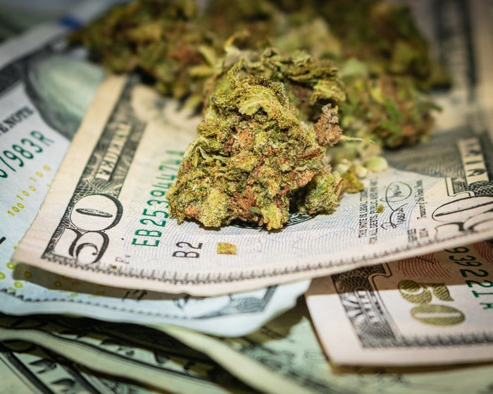 money making marijuana stocks