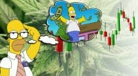 how to make money with marijuana stocks