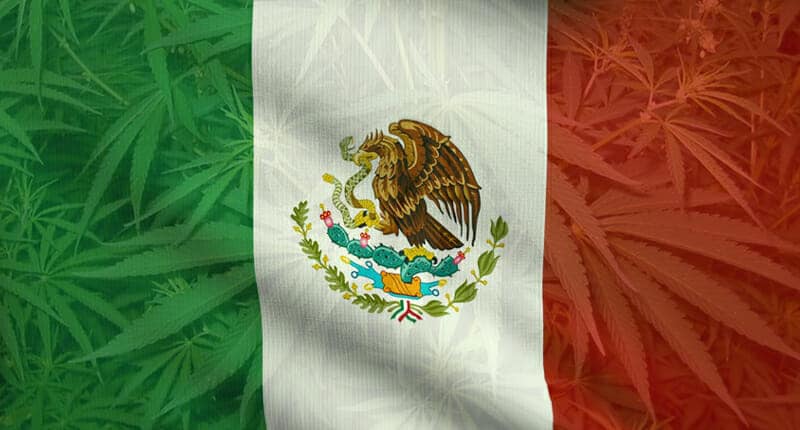 marijuana stocks mexico