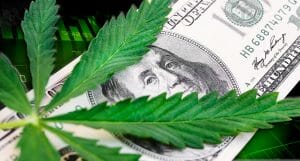 marijuana stocks news