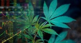 pot stocks to watch this month
