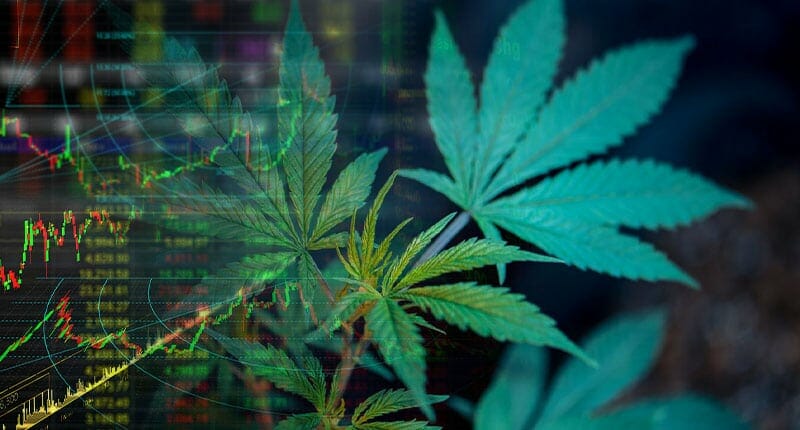 Not Too Late to Put Cannabis Stocks on Your Radar