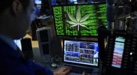 marijuana stock brokers
