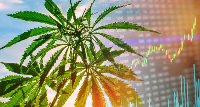 marijuana-stocks-to-buy (1)