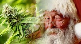 Marijuana stock santa
