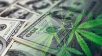 marijuana stocks to buy now