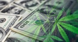 marijuana stocks to buy now
