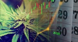 marijuana stocks to watch 2020