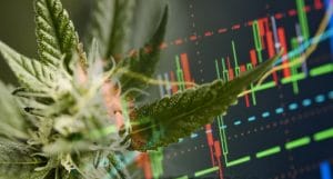 marijuana stocks to watch today