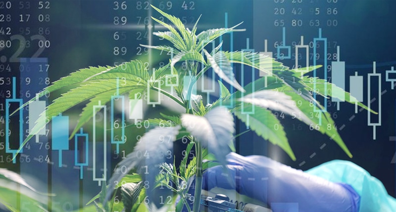 Cannabis Countdown: Top Marijuana Stock News - The Cannabis Investor