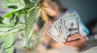 top marijuana stocks to make money