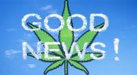 Good News Pot Stocks