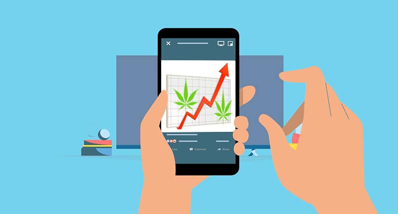 pot stocks to watch