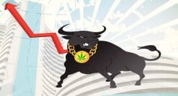 bull stocks
