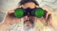 Marijuana Stocks to Watch