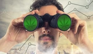 Marijuana Stocks to Watch