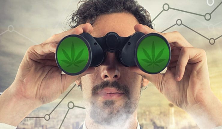 Marijuana Stocks to Watch