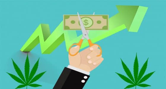 Investing In The 2018 Cannabis Market - Marijuana Stocks | Cannabis ...