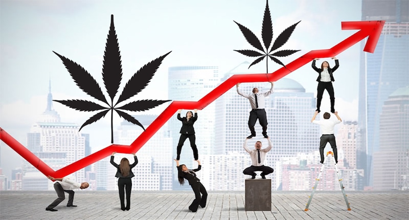 Will These Pot Stocks Be the First to Hit $1 Billion in Sales?