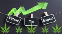 pot stocks expectations