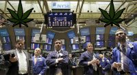 pot stocks up listed