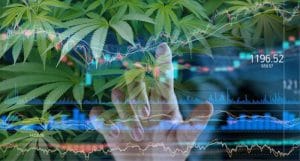 Pot stocks March