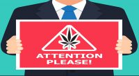 attention pot stocks