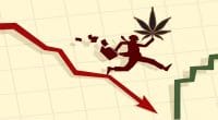 delisted pot stocks