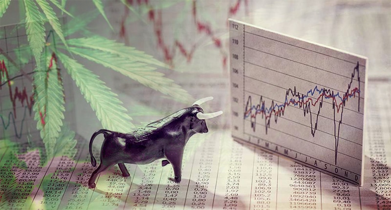 pot stock pic