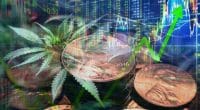 Marijuana stocks july