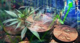 Marijuana stocks july