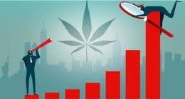 Marijuana stock long term