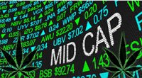 Mid Cap Marijuana Stocks