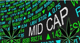 Mid Cap Marijuana Stocks