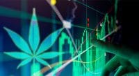 Marijuana stocks radar