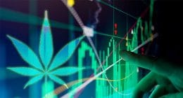 Marijuana stocks radar