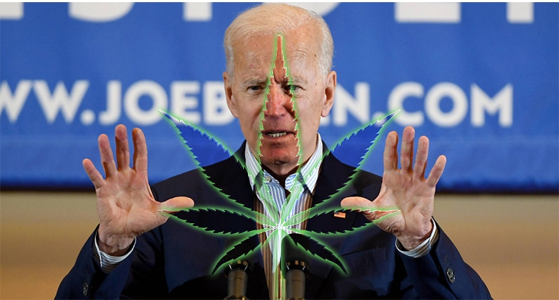 Mj Stocks Biden