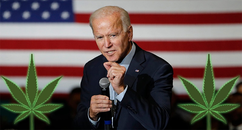 biden marijuana