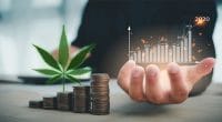 Top Marijuana stocks