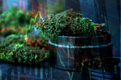 Marijuana Stocks MSO pot stocks
