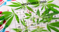 Election Legalize Marijuana